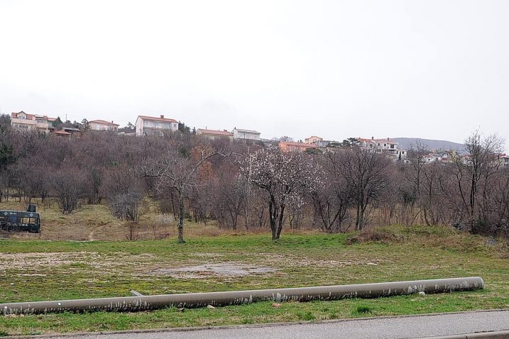 Foto I. Tomić