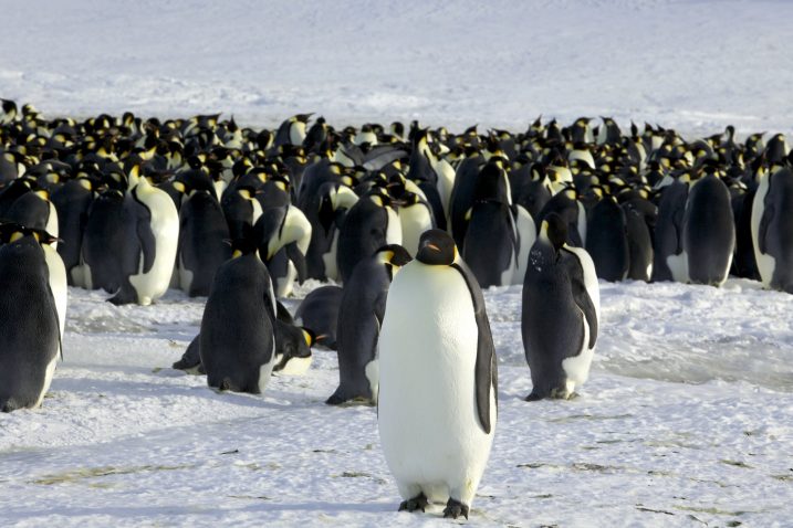 Foto Reuters
