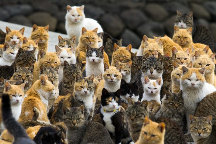 Foto Reuters