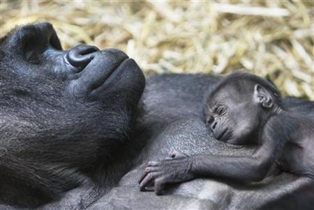 foto: Reuters