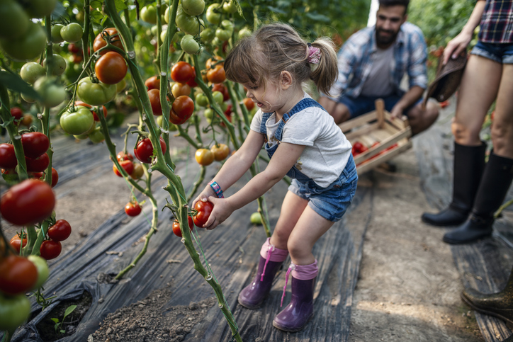 Foto: iStock