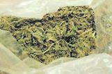 Marihuana / NL arhiva