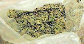 Marihuana / NL arhiva