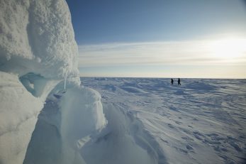 Arktik / Reuters