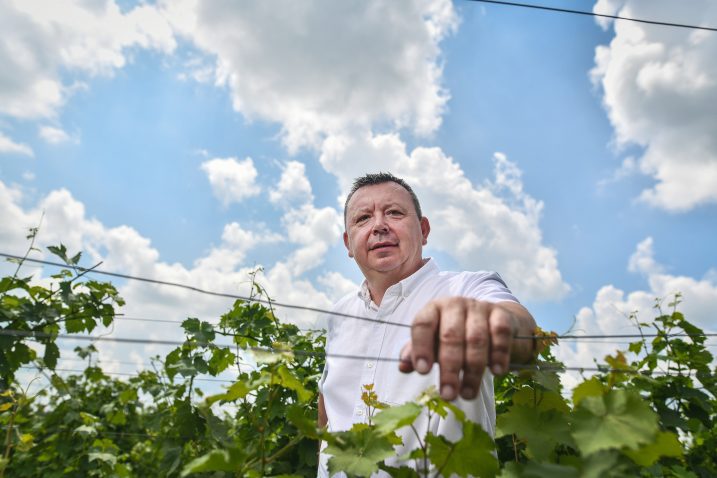 Božidar Pankretić / Foto: Sandra ŠImunović/PIXSELL