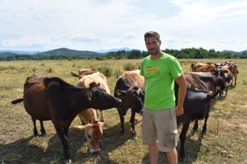 Na farmi Dominika Zeke prema životinjama se odnosi s poštovanjem / Snimio Marin SMOLČIĆ