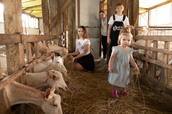 Foto ilustracija: Mario Periša