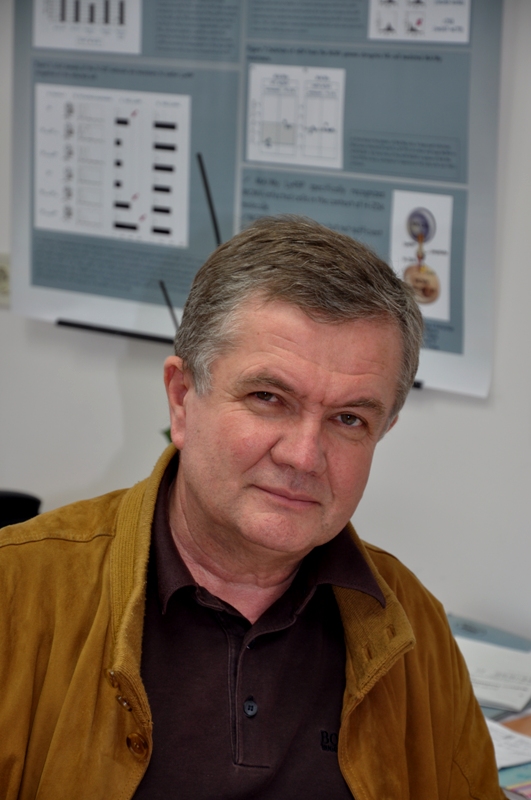Prof. dr. sc. Stipan Jonjić, pročelnik Centra za proteomiku MedRi