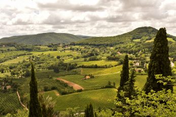 FOTO/Pexels Il Baciarino