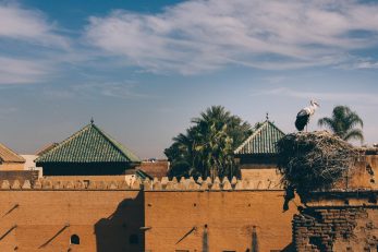 Foto: Unsplash