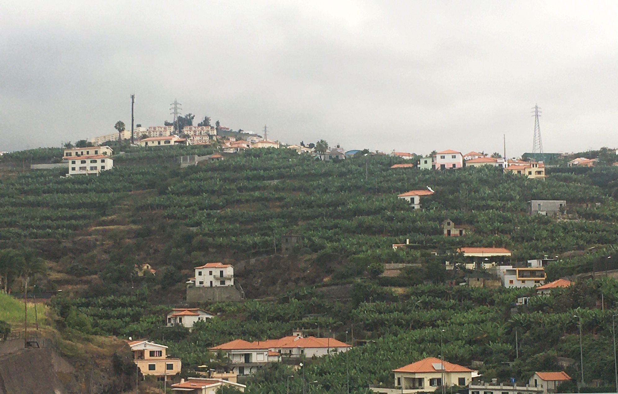 Madeira / Foto Marina Đukanović