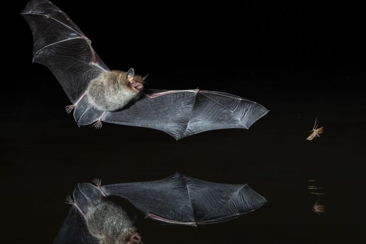 Foto iStock