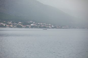 Foto Plavi svijet