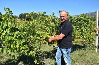 Foto Franjo Deranja