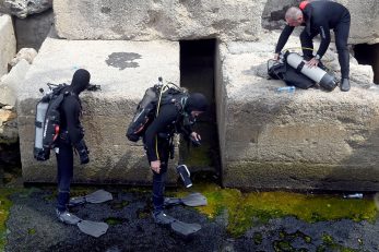 Kvarner iz godine u godinu privlači sve više ljubitelja morskog plavetnila / Foto V. KARUZA