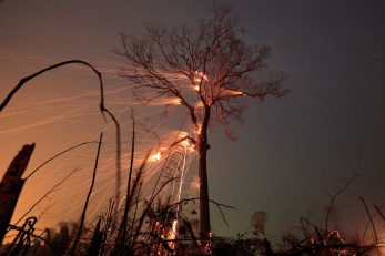 foto: REUTERS/Ricardo Moraes