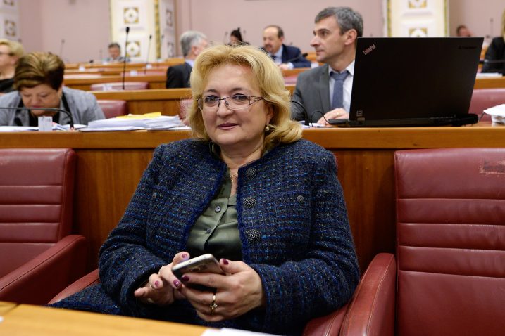 Foto: Goran Mehkek / CROPIX