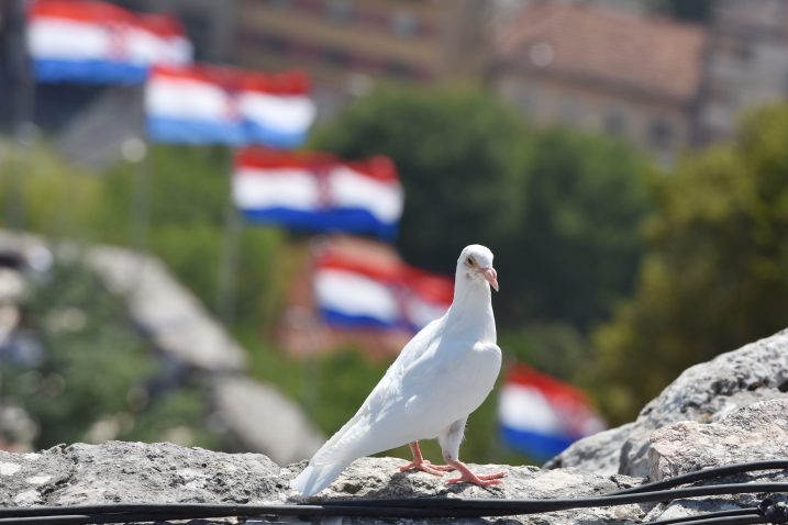 Foto Hrvoje Jelavic/PIXSELL