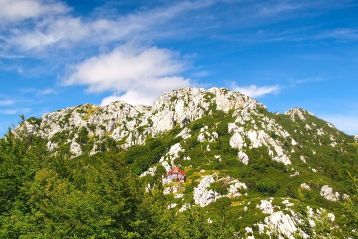 Ako Jos Niste Posjetili Risnjak Sada Je Pravo Vrijeme Donosimo Tri Staze PrilagoÄ'ene Za Pocetnike Ali I Za Iskusne Planinare Novi List