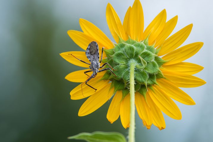 FOTO: iStock