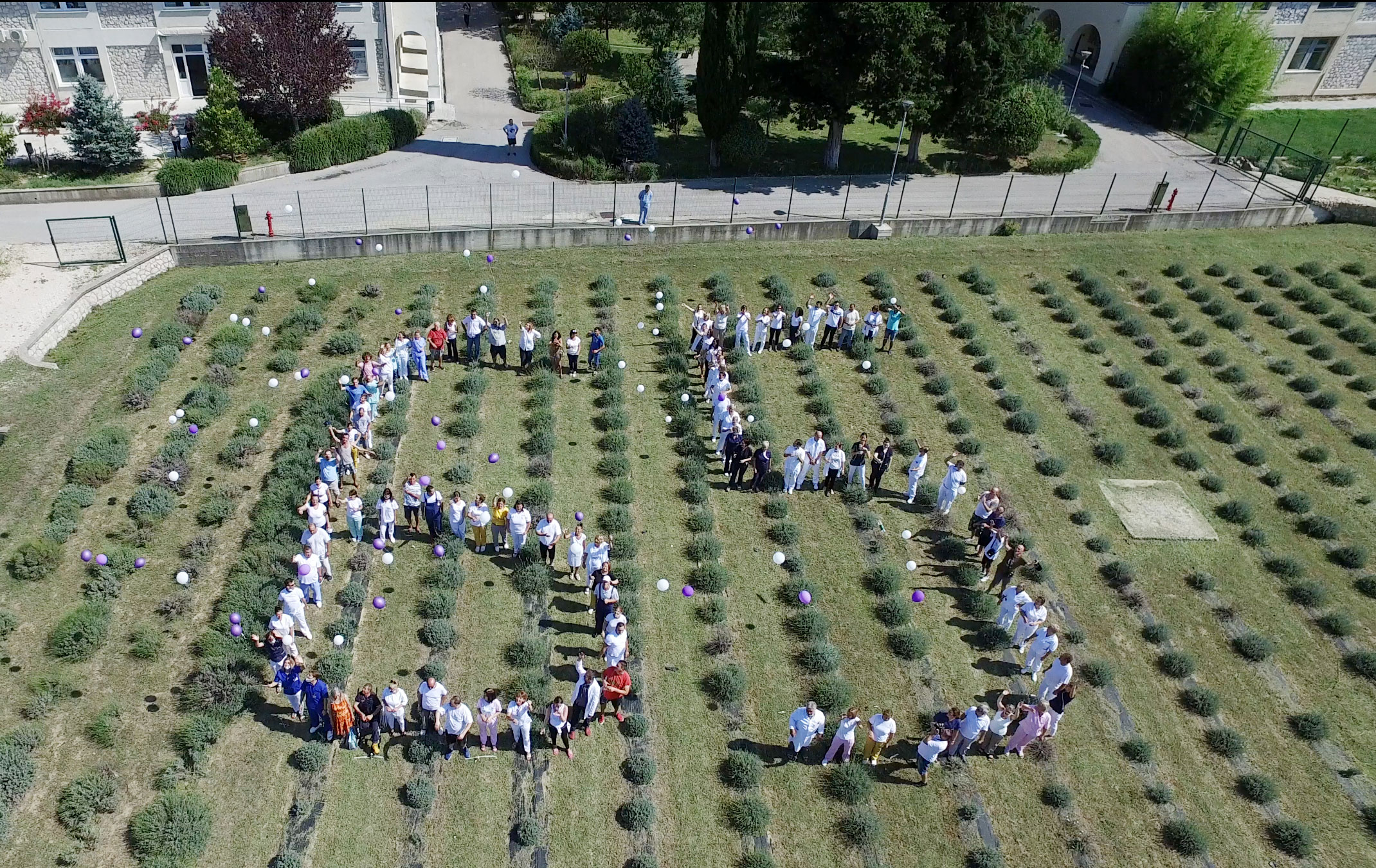 Foto Hrvoje Hodak