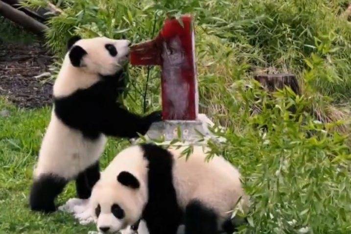 Foto: YouTube Screenshot