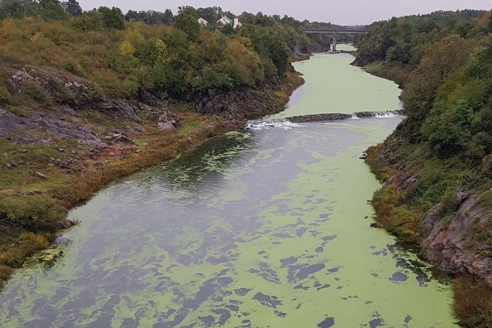 Foto: M. SMOLČIĆ