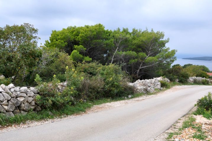 Turistički kvadrati na Buki u središtu svađa, prijepora i optužbi / Foto : M. TRINAJSTIĆ