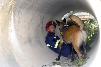 Foto Vedran Karuza