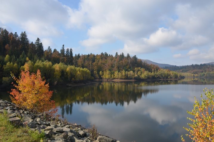 Foto Marinko Krmpotić