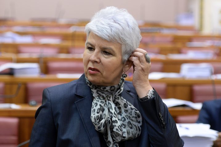 Foto Goran Mehkek / CROPIX