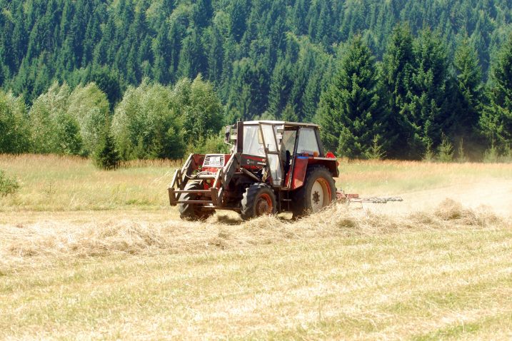 Foto Novi list