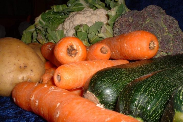 Koje su vrste povrća i voća "važnije"? / Foto Arhiv NL