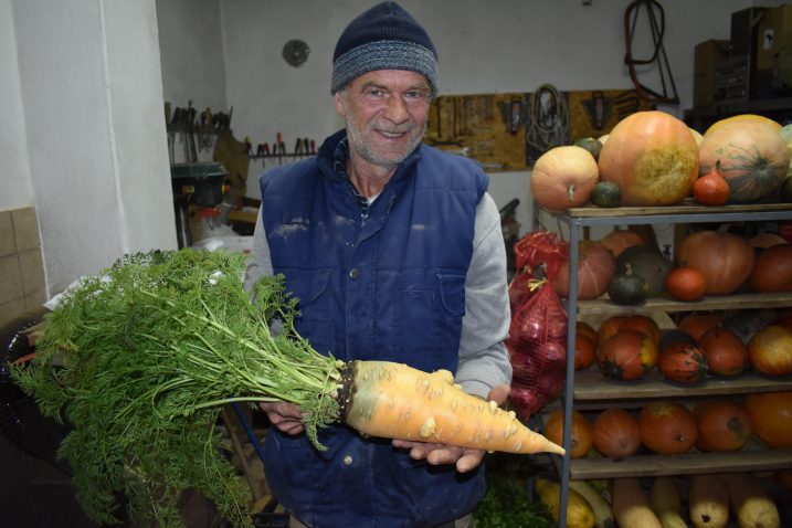 Ivica Baričević na svom je imanju uzgojio mrkvu rekorderku