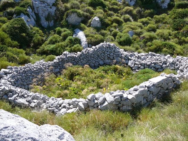 Ne možeš pobjeći