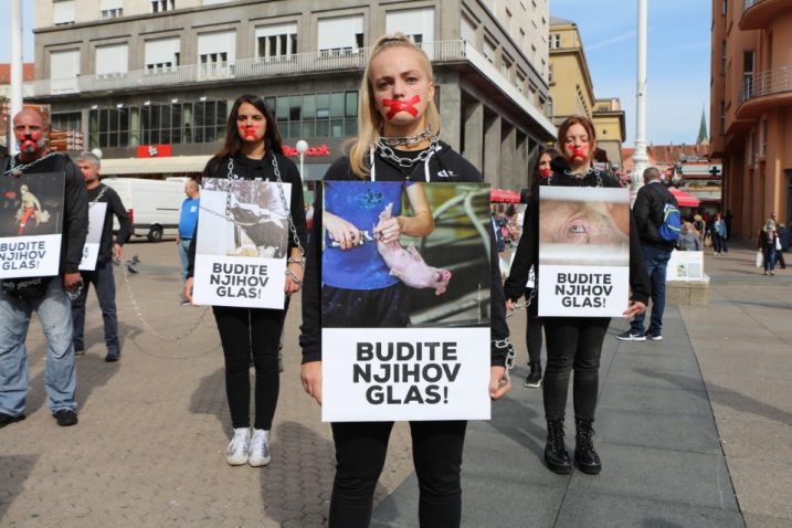 Foto Prijatelji životinja