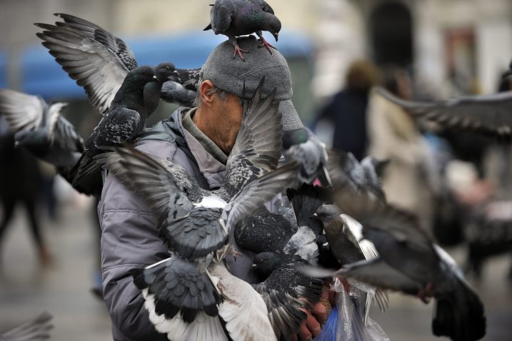 Foto Davor Kovačević