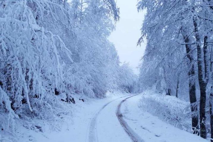 Foto: NP Sjeverni Velebit
