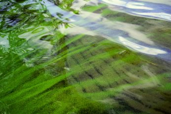 Foto: iStock