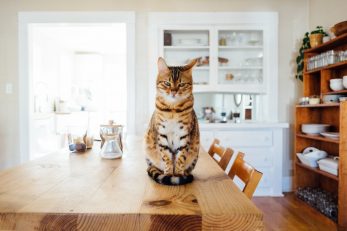 FOTO: Unsplash