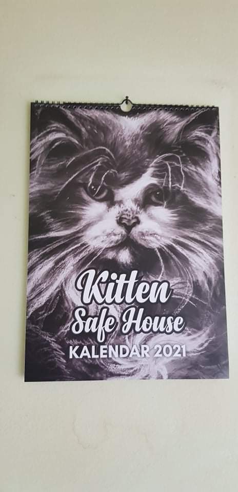 Kalendar Kitten Safe Housea posvećen Mišku