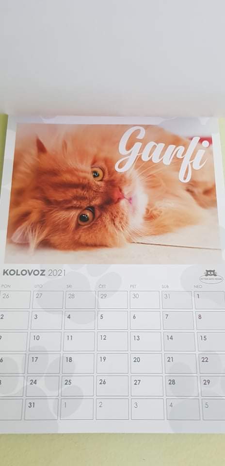 Kalendar Kitten safe housea