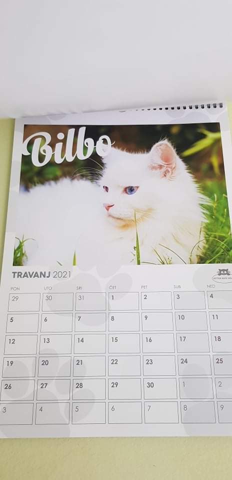 Kalendar Kitten Safe Housea