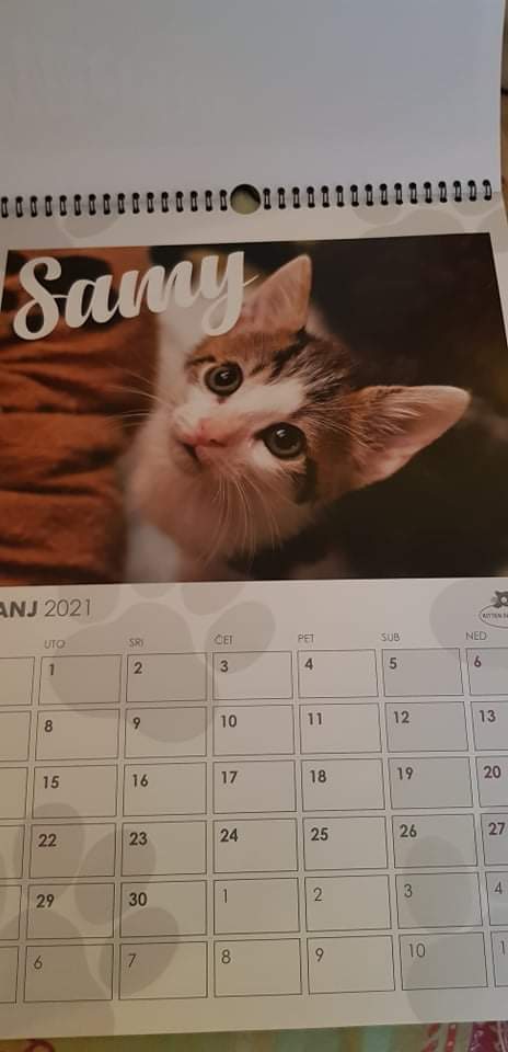 Kalendar Kitten safe housea