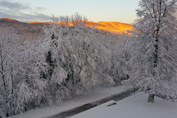 Foto: O. BORČIĆ