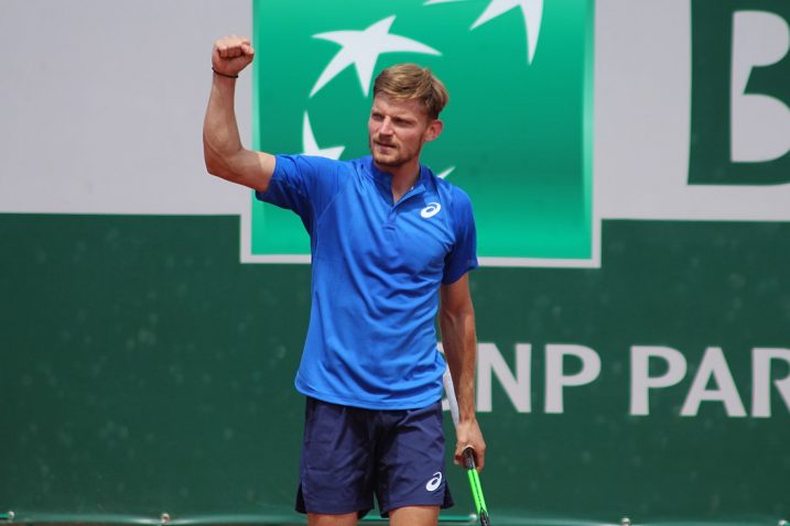 David Goffin