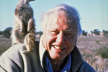 Sir David Attenborough jedno je od najzvučnijih britanskih imena