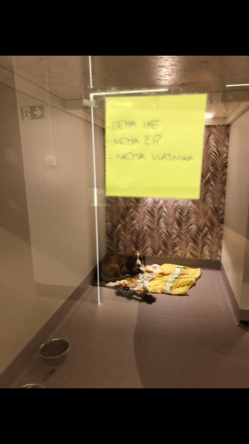  Iva_Novak_Zeoli_i_Gea_sarin