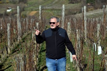 Od jutra, Vladi Krauthakeru su pred očima loza i vinograd / Snimio Davor KOVAČEVIĆ