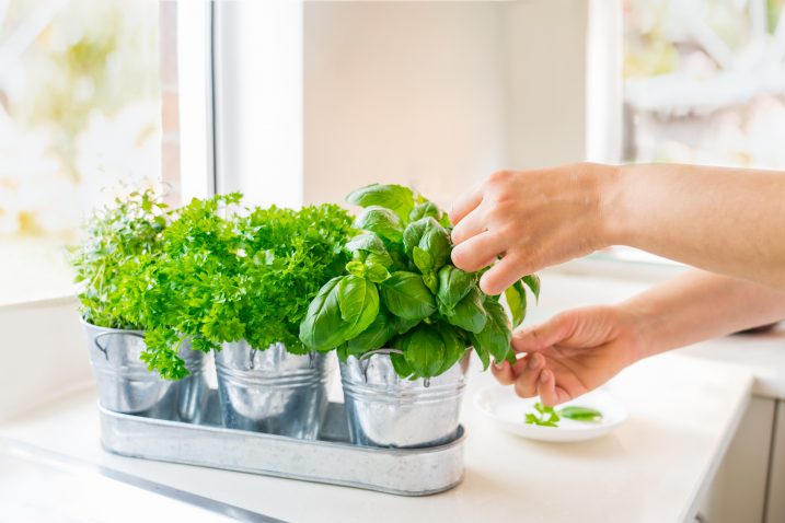 FOTO: iStock